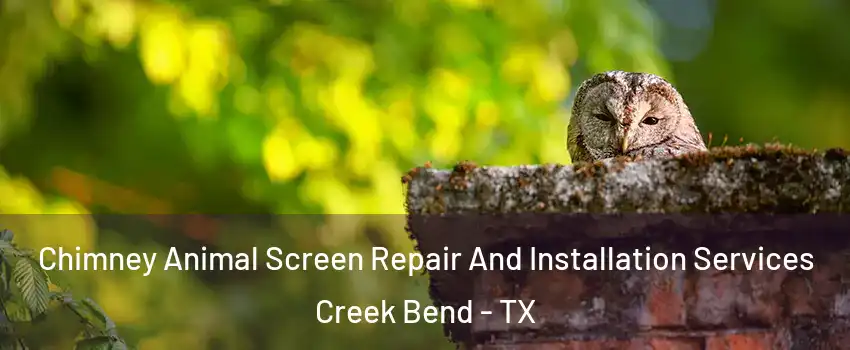 Chimney Animal Screen Repair And Installation Services Creek Bend - TX