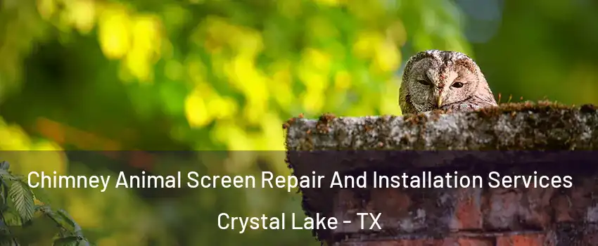 Chimney Animal Screen Repair And Installation Services Crystal Lake - TX