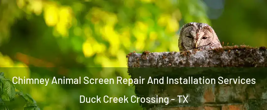 Chimney Animal Screen Repair And Installation Services Duck Creek Crossing - TX