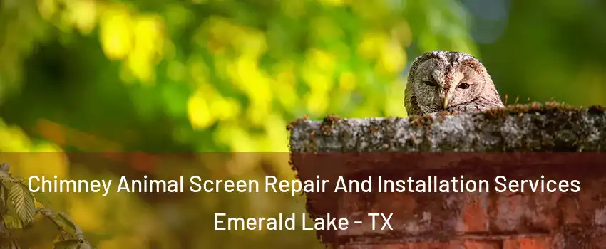 Chimney Animal Screen Repair And Installation Services Emerald Lake - TX