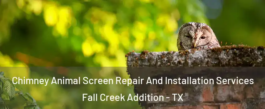 Chimney Animal Screen Repair And Installation Services Fall Creek Addition - TX