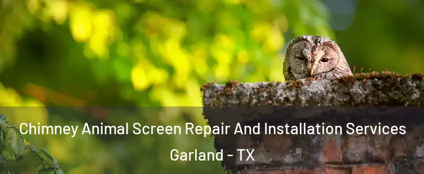Chimney Animal Screen Repair And Installation Services Garland - TX
