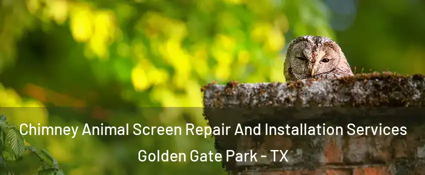 Chimney Animal Screen Repair And Installation Services Golden Gate Park - TX