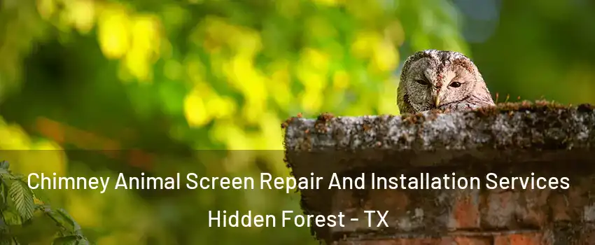 Chimney Animal Screen Repair And Installation Services Hidden Forest - TX