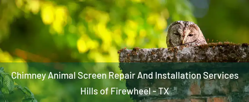 Chimney Animal Screen Repair And Installation Services Hills of Firewheel - TX