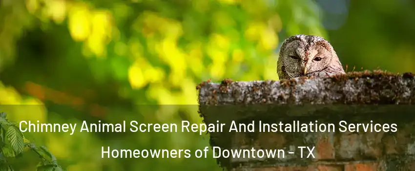 Chimney Animal Screen Repair And Installation Services Homeowners of Downtown - TX