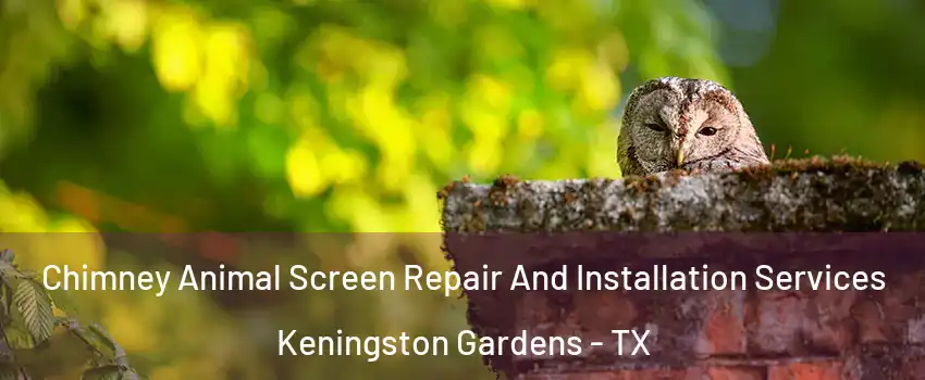 Chimney Animal Screen Repair And Installation Services Keningston Gardens - TX