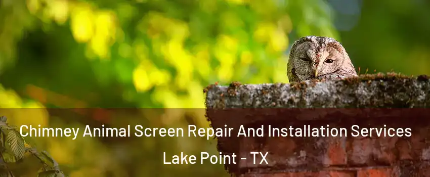 Chimney Animal Screen Repair And Installation Services Lake Point - TX