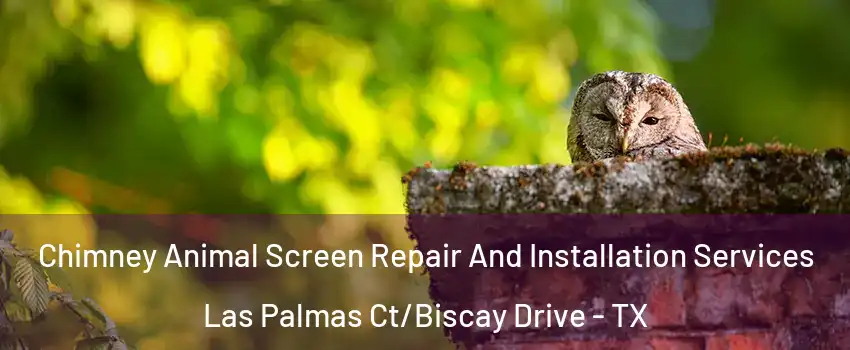 Chimney Animal Screen Repair And Installation Services Las Palmas Ct/Biscay Drive - TX