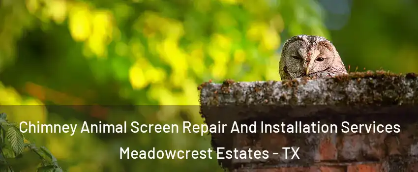 Chimney Animal Screen Repair And Installation Services Meadowcrest Estates - TX