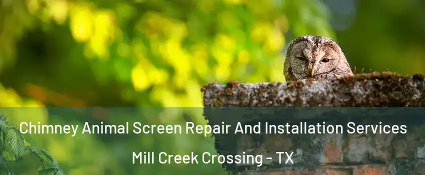 Chimney Animal Screen Repair And Installation Services Mill Creek Crossing - TX