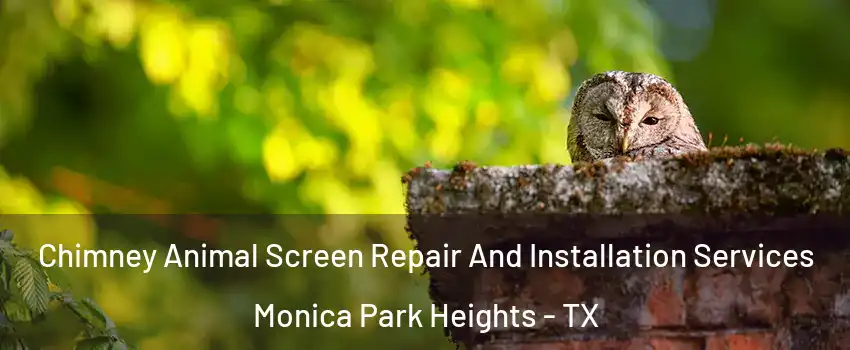 Chimney Animal Screen Repair And Installation Services Monica Park Heights - TX