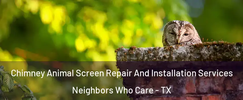 Chimney Animal Screen Repair And Installation Services Neighbors Who Care - TX