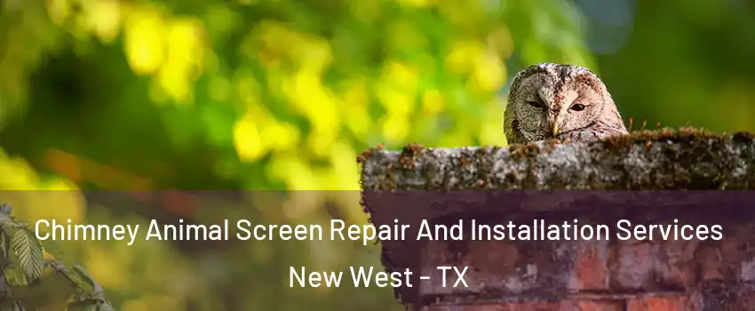 Chimney Animal Screen Repair And Installation Services New West - TX