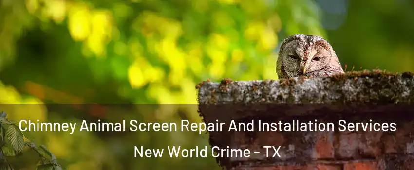Chimney Animal Screen Repair And Installation Services New World Crime - TX