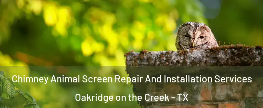 Chimney Animal Screen Repair And Installation Services Oakridge on the Creek - TX