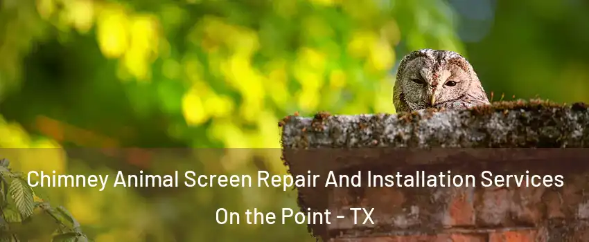 Chimney Animal Screen Repair And Installation Services On the Point - TX