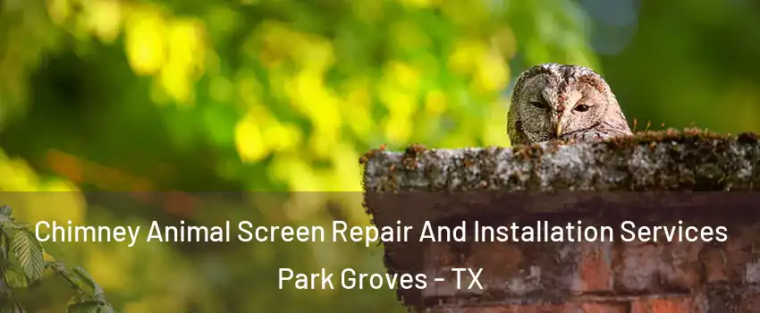 Chimney Animal Screen Repair And Installation Services Park Groves - TX