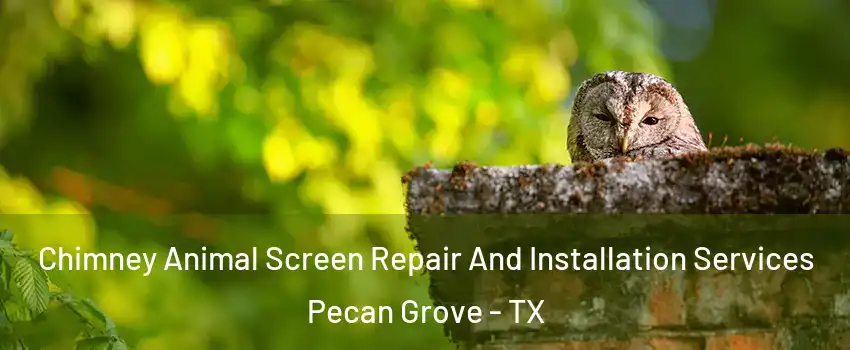 Chimney Animal Screen Repair And Installation Services Pecan Grove - TX