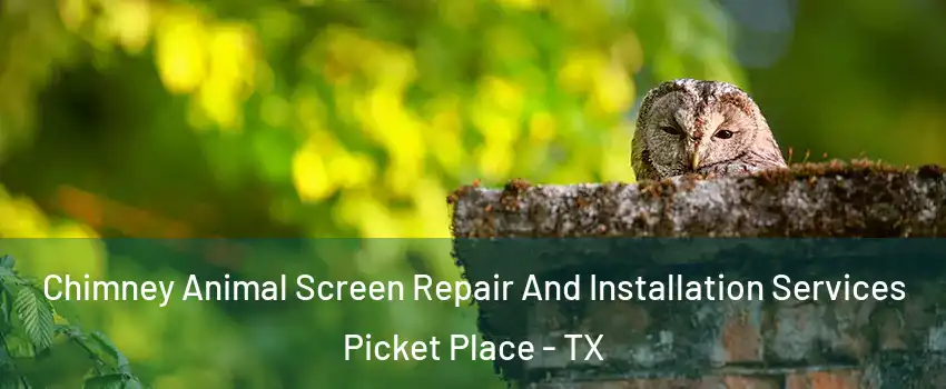 Chimney Animal Screen Repair And Installation Services Picket Place - TX