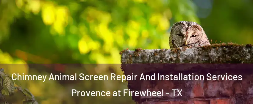 Chimney Animal Screen Repair And Installation Services Provence at Firewheel - TX