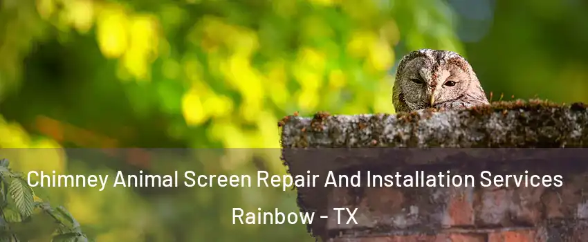 Chimney Animal Screen Repair And Installation Services Rainbow - TX