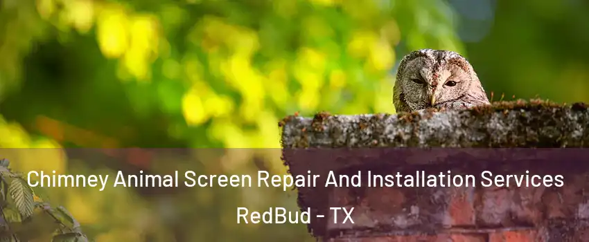 Chimney Animal Screen Repair And Installation Services RedBud - TX