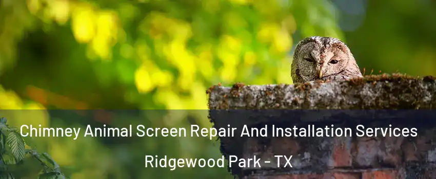 Chimney Animal Screen Repair And Installation Services Ridgewood Park - TX