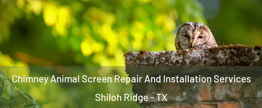 Chimney Animal Screen Repair And Installation Services Shiloh Ridge - TX