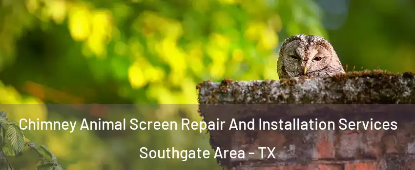 Chimney Animal Screen Repair And Installation Services Southgate Area - TX