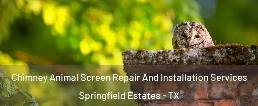 Chimney Animal Screen Repair And Installation Services Springfield Estates - TX