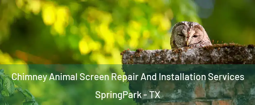 Chimney Animal Screen Repair And Installation Services SpringPark - TX