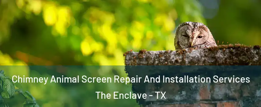 Chimney Animal Screen Repair And Installation Services The Enclave - TX
