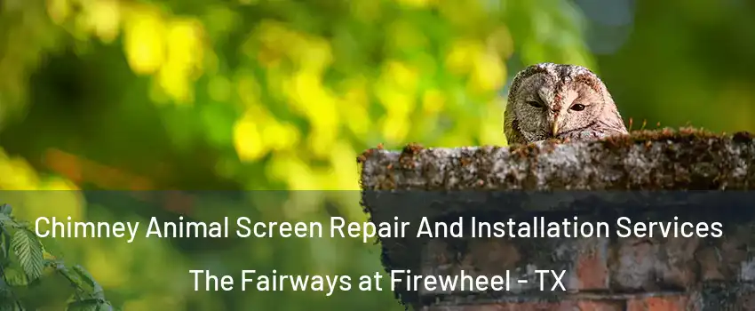 Chimney Animal Screen Repair And Installation Services The Fairways at Firewheel - TX