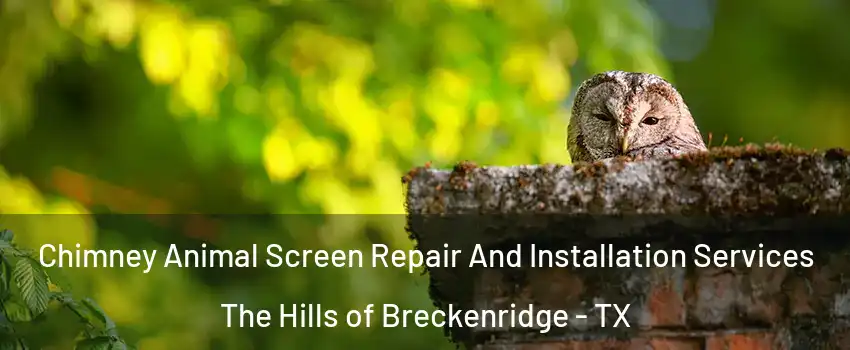 Chimney Animal Screen Repair And Installation Services The Hills of Breckenridge - TX