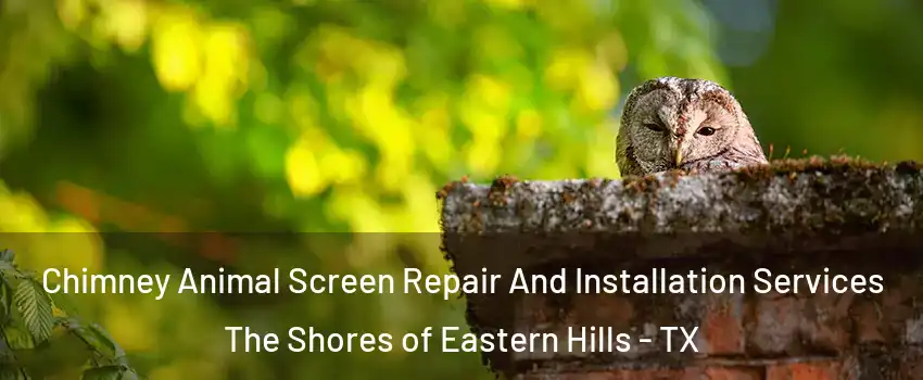 Chimney Animal Screen Repair And Installation Services The Shores of Eastern Hills - TX