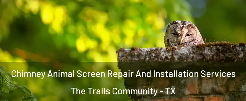Chimney Animal Screen Repair And Installation Services The Trails Community - TX