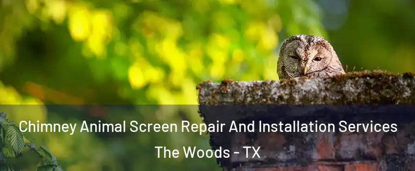 Chimney Animal Screen Repair And Installation Services The Woods - TX