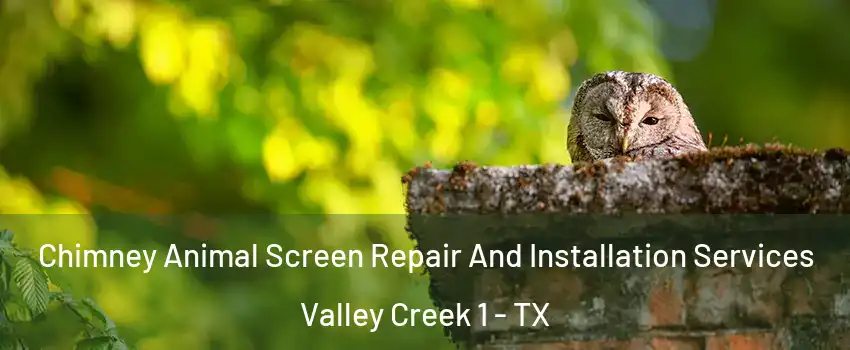 Chimney Animal Screen Repair And Installation Services Valley Creek 1 - TX