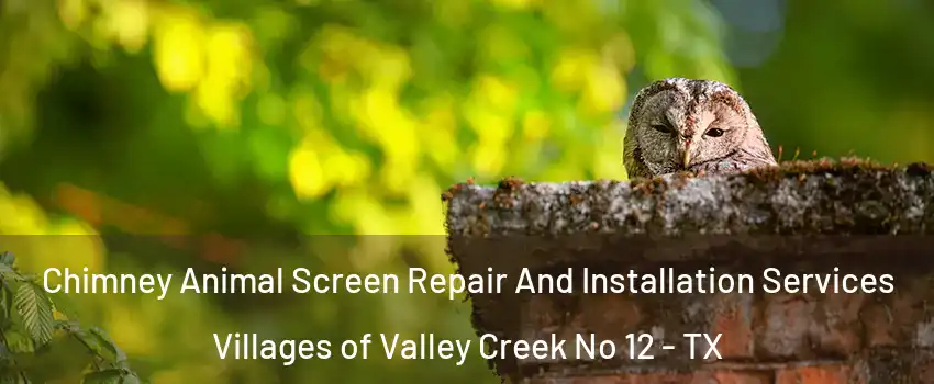 Chimney Animal Screen Repair And Installation Services Villages of Valley Creek No 12 - TX