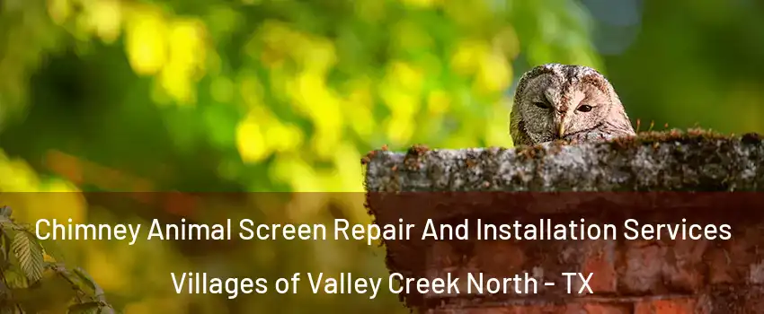 Chimney Animal Screen Repair And Installation Services Villages of Valley Creek North - TX