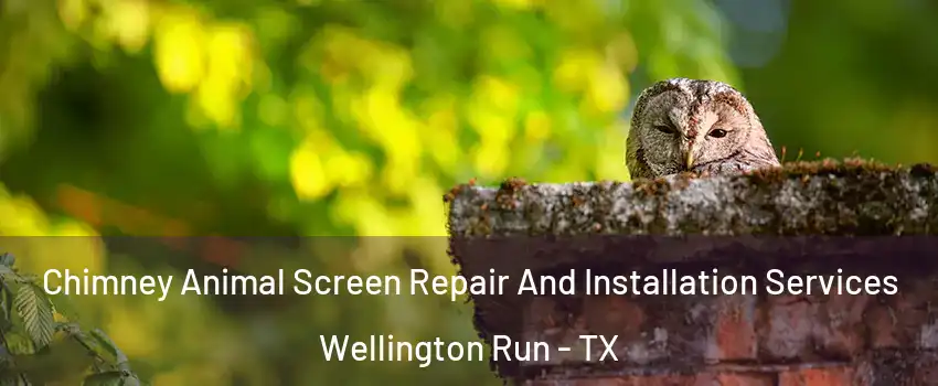 Chimney Animal Screen Repair And Installation Services Wellington Run - TX