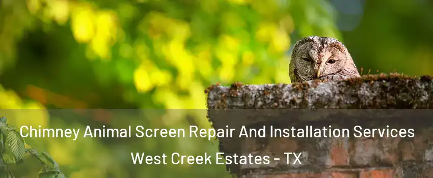 Chimney Animal Screen Repair And Installation Services West Creek Estates - TX