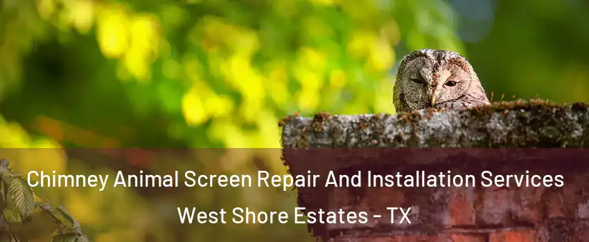 Chimney Animal Screen Repair And Installation Services West Shore Estates - TX