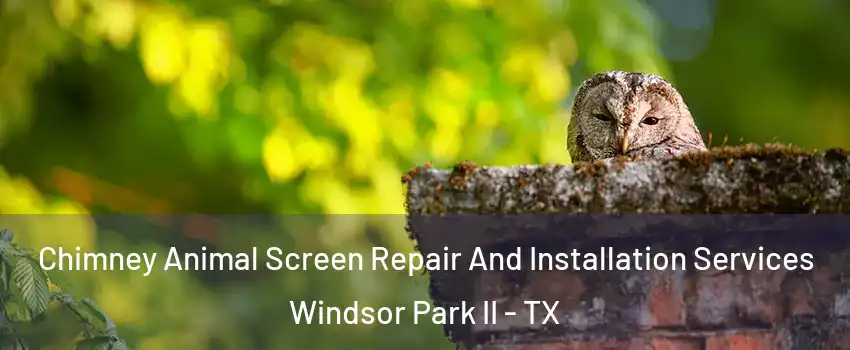 Chimney Animal Screen Repair And Installation Services Windsor Park II - TX