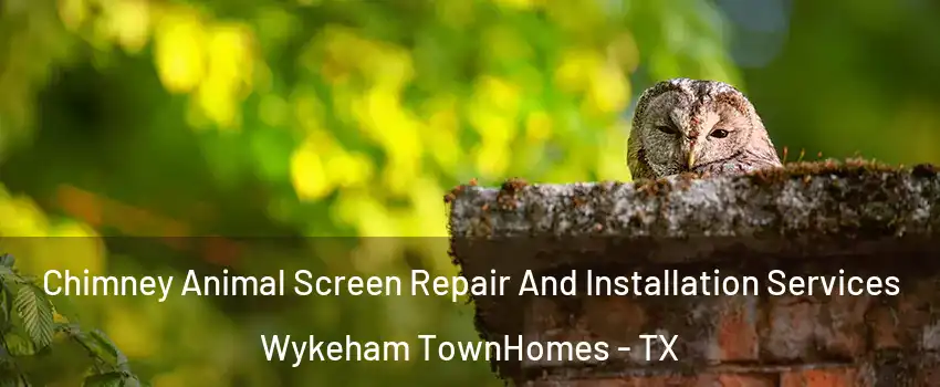 Chimney Animal Screen Repair And Installation Services Wykeham TownHomes - TX