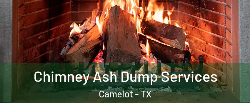 Chimney Ash Dump Services Camelot - TX