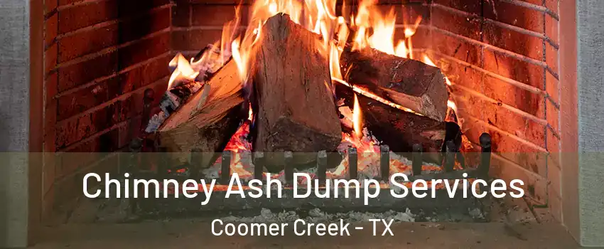 Chimney Ash Dump Services Coomer Creek - TX