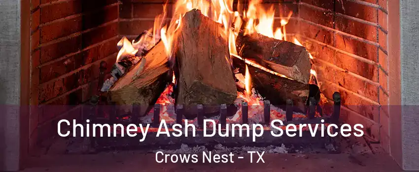 Chimney Ash Dump Services Crows Nest - TX
