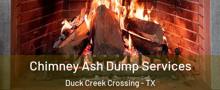 Chimney Ash Dump Services Duck Creek Crossing - TX